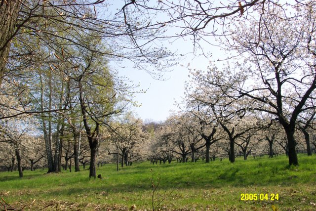 002006.jpg